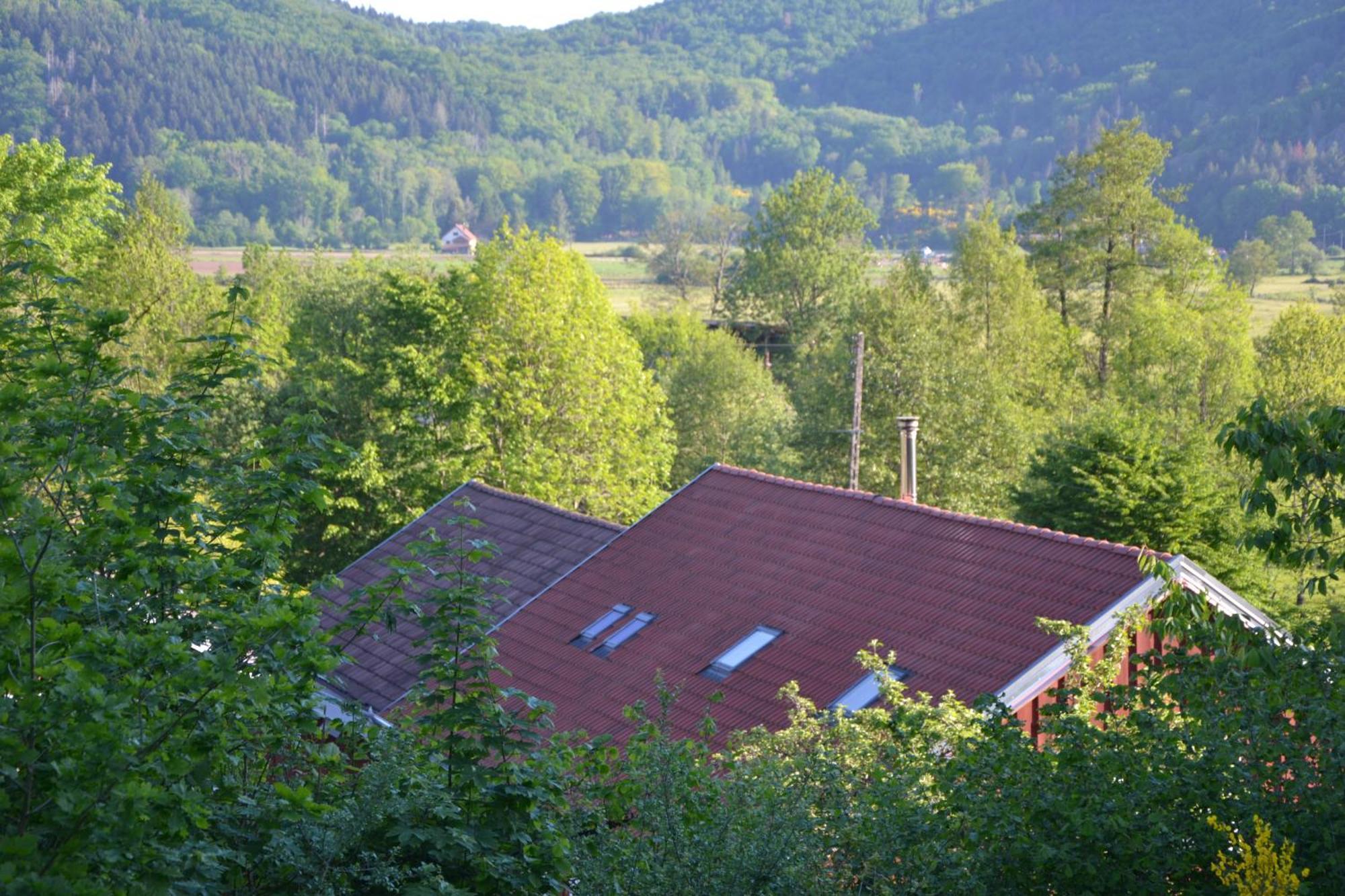 Chalet Des Aigrettes, Les 1000 Etangs La Voivre  Eksteriør bilde